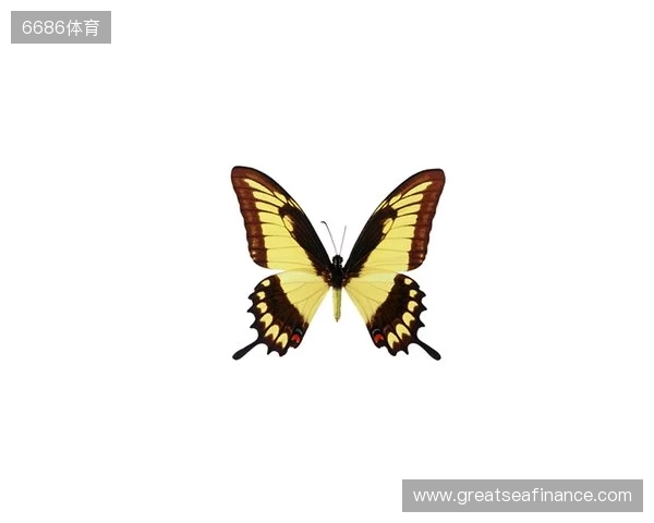 破茧成蝶:Legacy如何登顶南美、跻身世界顶尖行列 破茧成蝶:Legacy如何登顶南美、跻身世界顶尖行列